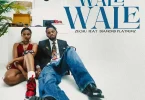 Music: Zuchu – Wale Wale ft. Diamond Platnumz