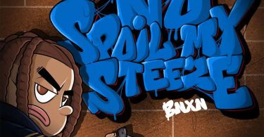 Download Music: BNXN – No Spoil My Steeze