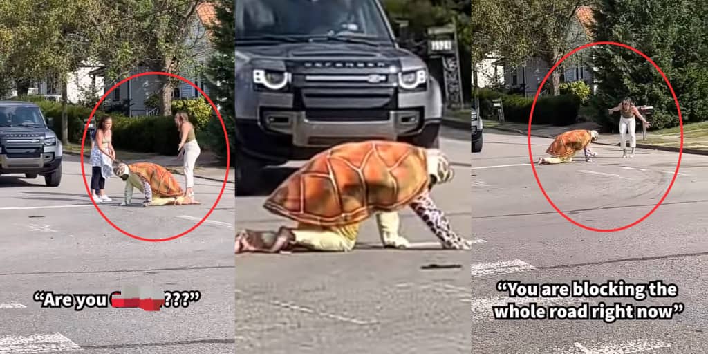 Outrage as the man dresses as tortoise and crawls slowly on road, causing traffic in viral video
