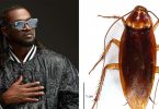 “Una Waste My Time” – Paul Okoye recounts how his teacher asked him to label cockroach