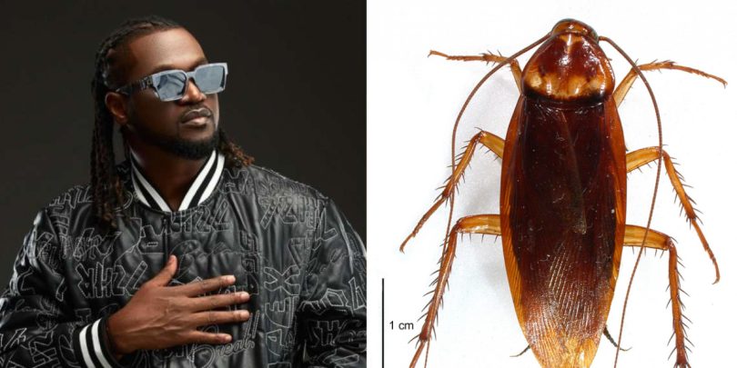 “Una Waste My Time” – Paul Okoye recounts how his teacher asked him to label cockroach