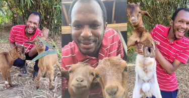 Daniel Regha leaves fans stunned as he embraces farming, poses with his goats