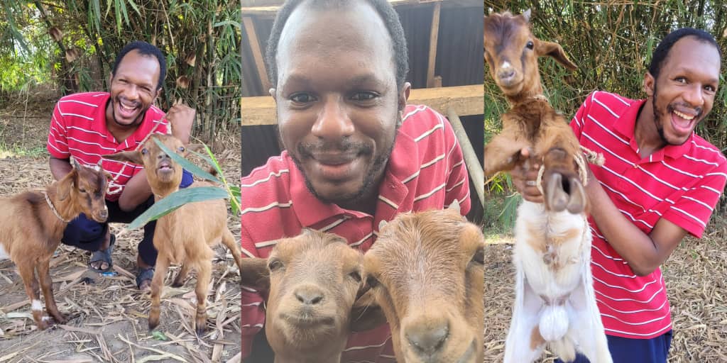 Daniel Regha leaves fans stunned as he embraces farming, poses with his goats
