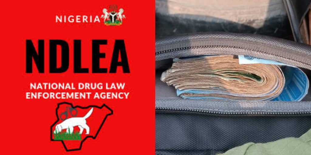 NDLEA allegedly arrests corps member over pain medication, forced to pay ₦150K
