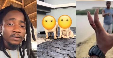 Man cries out as two k dogs allegedly drown within hours of his absence