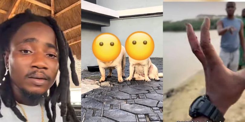 Man cries out as two k dogs allegedly drown within hours of his absence