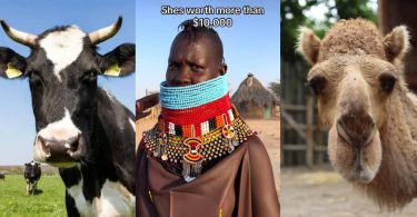 Lady demands 200 cows, 200 camels, 400 goats or sheep as bride price