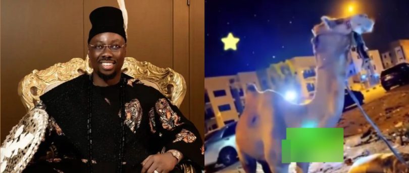 Obi Cubana’s Receives Camel Gift From Morocco After 50th Birthday Bash