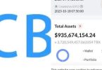 Alleged estimated losses in CBEX crash