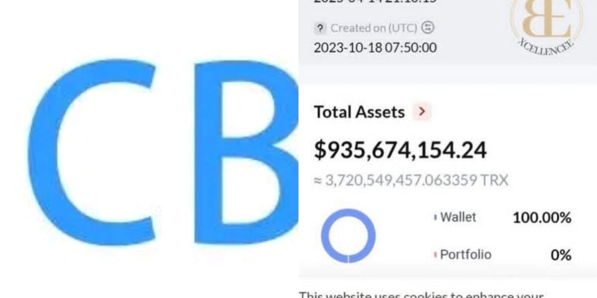 Alleged estimated losses in CBEX crash
