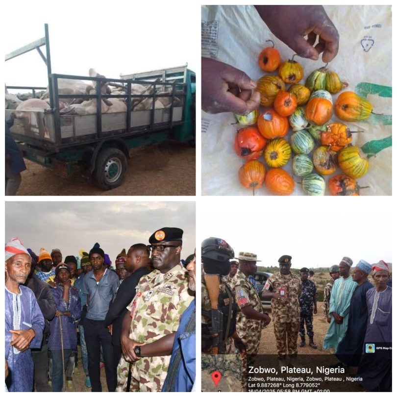 Troops intervene and prevent retaliatory attack in Plateau as 32 cows d!e after eating poisoned tomatoes and garden eggs