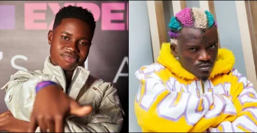 I advised Portable to stop posting ritual online, he blocked me – Peller