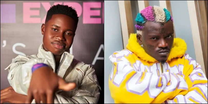 I advised Portable to stop posting ritual online, he blocked me – Peller