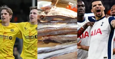 Fish for football: Bodo/Glimt fan trades 5kg fish for Spurs semifinal ticket