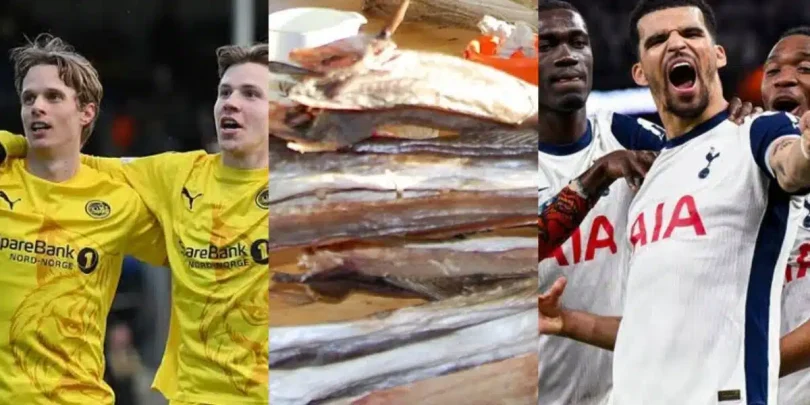 Fish for football: Bodo/Glimt fan trades 5kg fish for Spurs semifinal ticket
