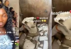 Lady repairs toilet, then damages it after landlord gives her quit notice