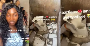 Lady repairs toilet, then damages it after landlord gives her quit notice