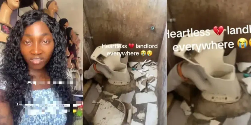 Lady repairs toilet, then damages it after landlord gives her quit notice