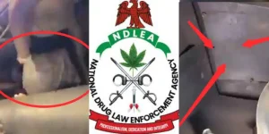 NDLEA uncovers illicit drugs hidden in compartments of fuel tanker
