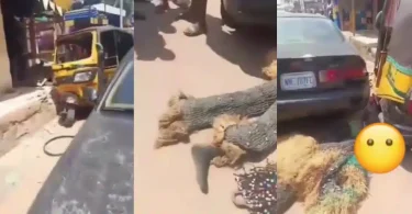 Masquerade passes away after getting hit by tricycle