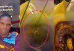 Vendor tells man ‘you don’t have manners’ after he complains about maggots in his food