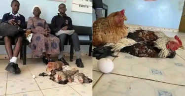 Grandmother shows up with 6 chickens to pay grandkids’ school fees after they’re sent home