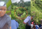 Lady narrates Osun tragedy as driver sleeps off, crashes cow truck