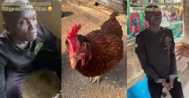 Security personnel hired to guard community arrested for stealing chickens and belongings