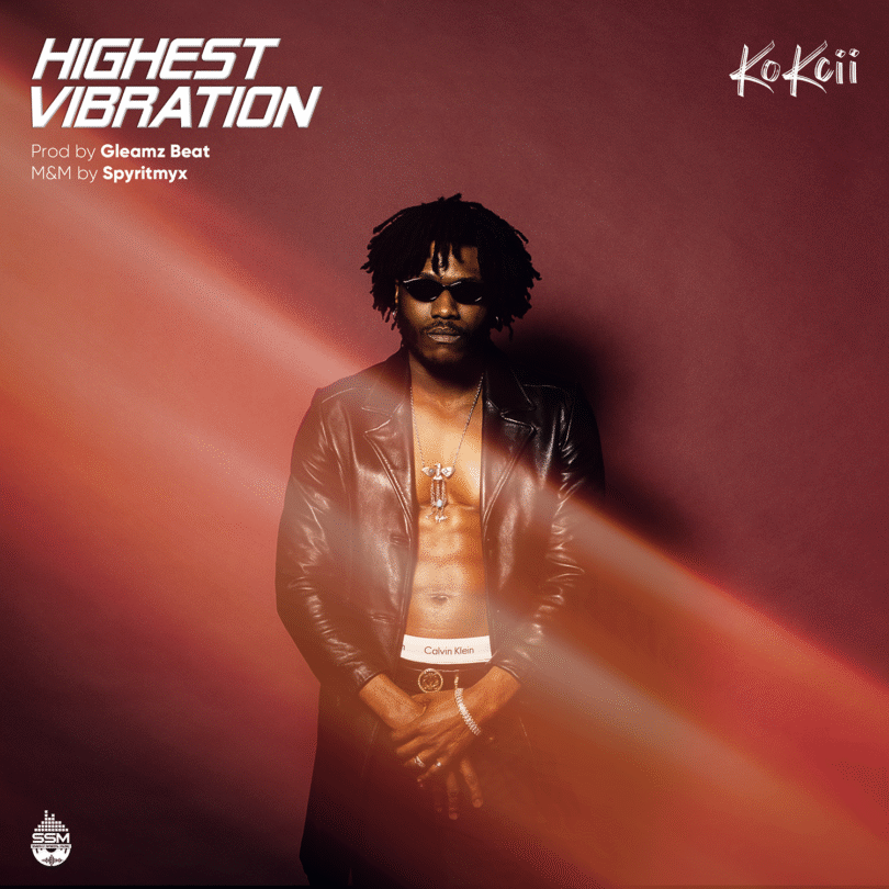 Kokcii Fka (Sneaky Special) – Highest Vibration