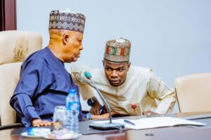 The Pain You Feel Is Necessary – Shettima’s PA Tells Nigerians