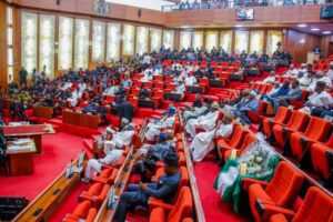 Lack of tenure for lawmakers ‘killing’ effective legislation, accountability, increasing corruption – Analysts