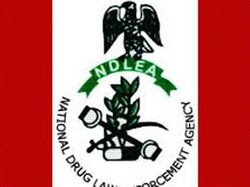 Join us tackle menace of drug abuse – NDLEA appeals to Nigerians
