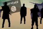 Senator confirms some military personnel and leaders collaborating with Boko Haram