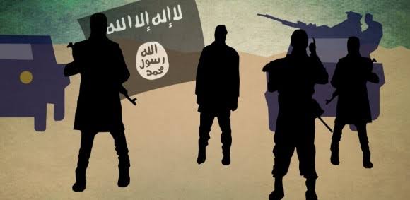 Senator confirms some military personnel and leaders collaborating with Boko Haram