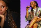 Chimamanda Adichie opens up on welcoming twins through surrogacy