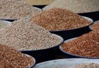 Enugu Traders Count Losses As Beans Prices Crash