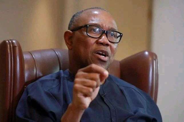 Edo Election Undemocratic, Everybody Knows Who Won — Peter Obi