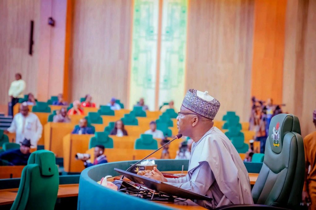 CNG: Protest erupts in House of  Reps over alleged exclusion of north 