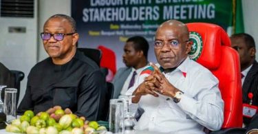 Peter Obi, Alex Otti Will Be Expelled — Labour Party’s Arabambi