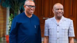 How Wike frustrated Peter Obi out of PDP  —  Dele Momodu
