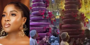 Price of Veeke James’ 20ft birthday cake raises eyebrows 