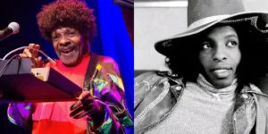 Sly Stone passes away
