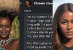 Chisom Steve responds to woman’s query about her conception