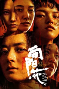 Movie: We Girls (2025) (Chinese)